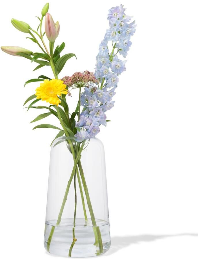 HEMA Vaas 30cm Glas (transparant)