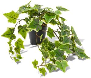 HEMA Kunst Hangplant Klimop 50cm