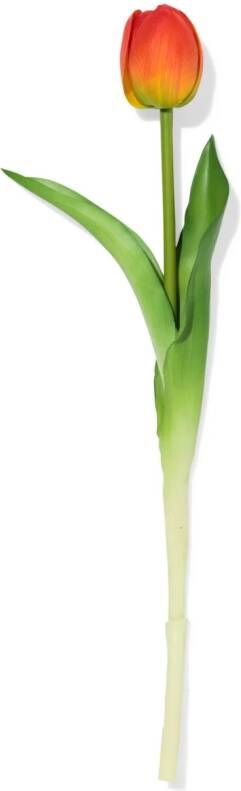 HEMA Kunstbloem 34cm Tulp Oranje