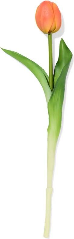 HEMA Kunstbloem 34cm Tulp Perzik