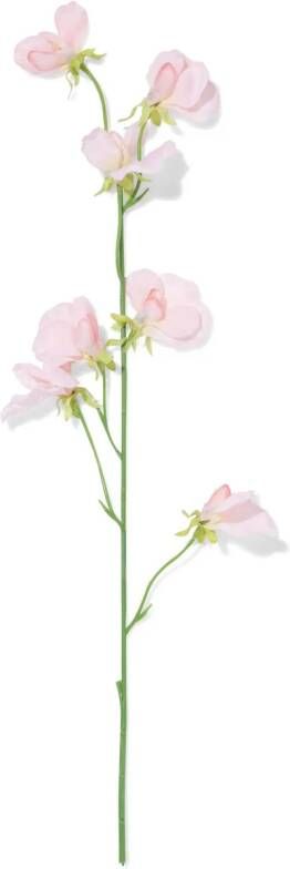 HEMA Kunstbloem Lathyrus Lichtroze (lichtroze)