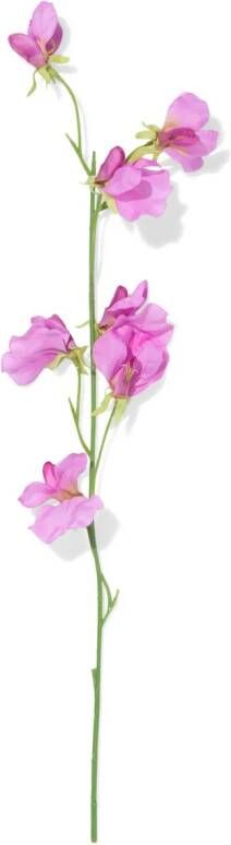 HEMA Kunstbloem Lathyrus Paars (paars)