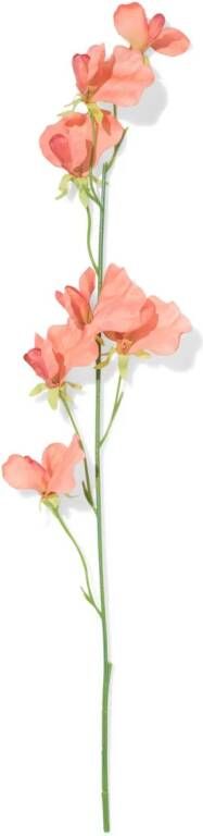 HEMA Kunstbloem Lathyrus Zalm (zalmroze)