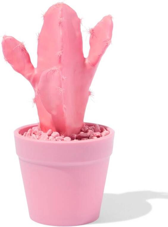 HEMA Kunstplant Cactus Roze (roze)