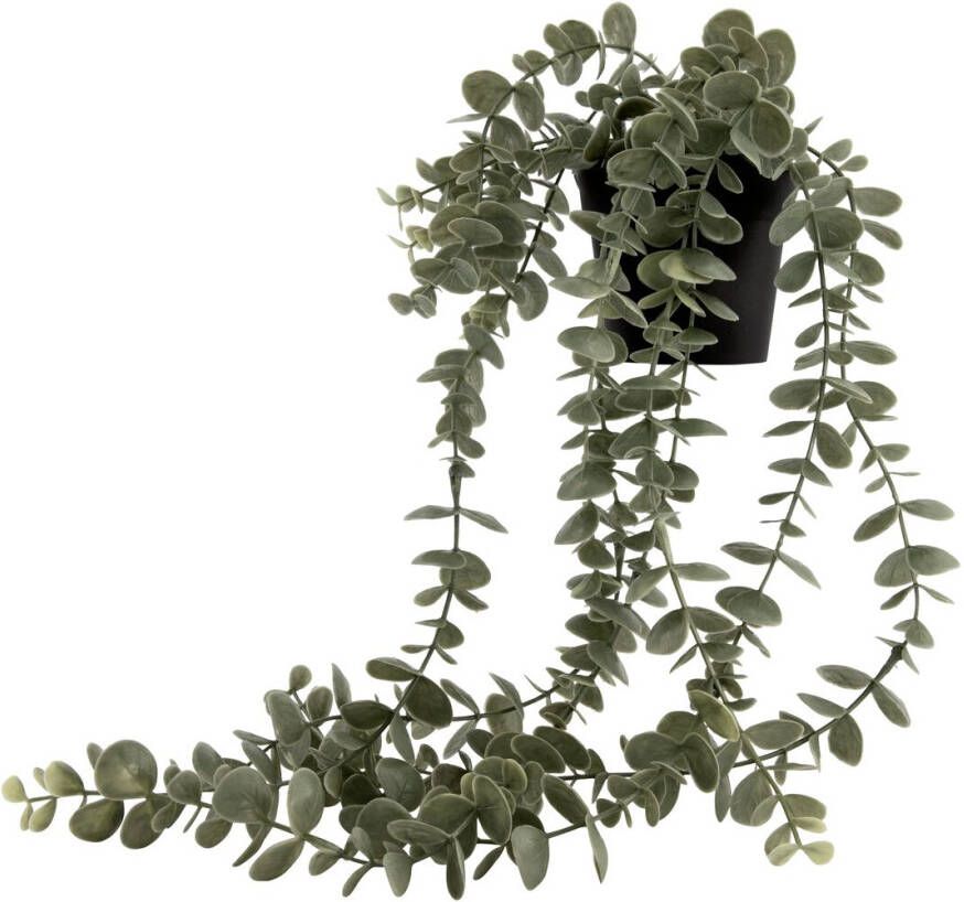 HEMA Kunstplant Eucalyptus (groen)