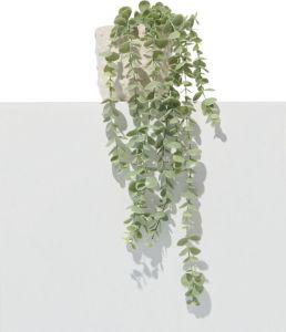 HEMA Kunstplant Eucalyptus (groen)