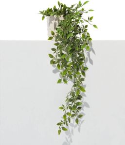 HEMA Kunstplant Penningkruid (groen)