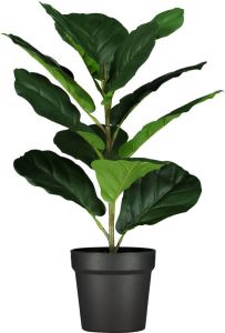 HEMA Kunstplant Vioolbladplant 50cm
