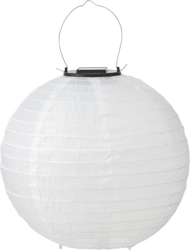 HEMA Tuinlampion Solar Ø 28 Cm Wit - Foto 1