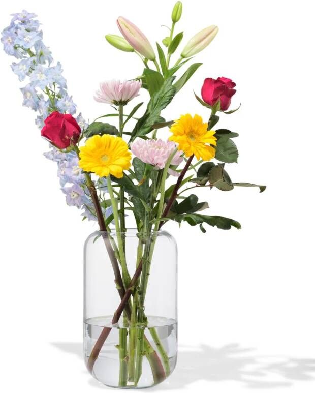HEMA Vaas 24cm Glas