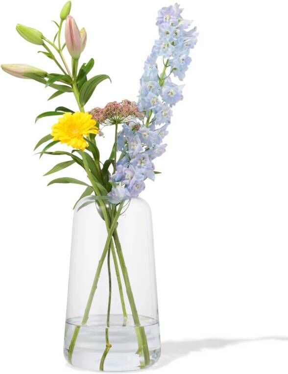 HEMA Vaas 30cm Glas (transparant)