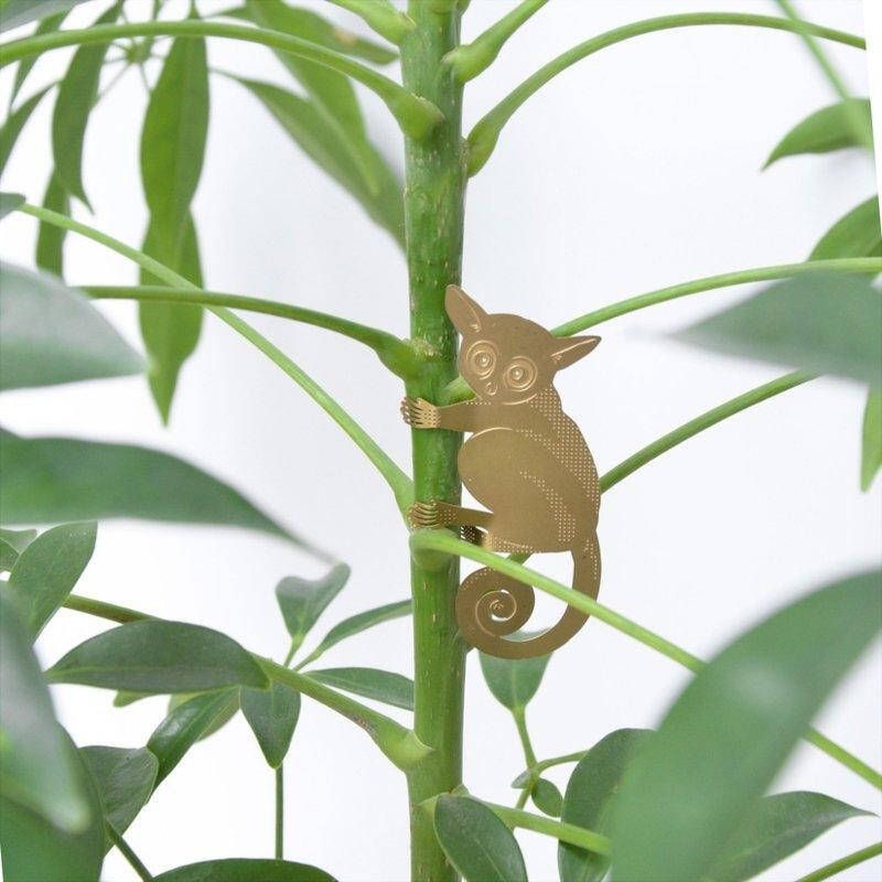Another Studio For Design Planten Diertje Galago Bush Baby