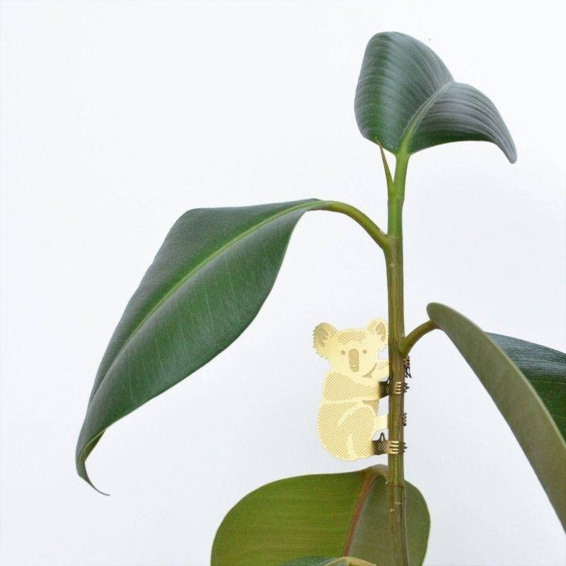 Another Studio For Design Planten diertje koala