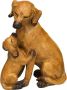 Ambiente Haus Decoratief figuur Hond met pup groot - Thumbnail 1