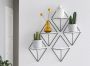 Andas Decoratief wandrek Ruiten roedel Decoratieplank wanddecoratie van metaal (set 5-delig) - Thumbnail 1