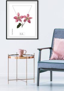 Andas Wanddecoratie Plant Malus met frame