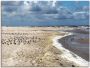 Artland Artprint op linnen Aan het mooie Noordzeestrand - Thumbnail 1