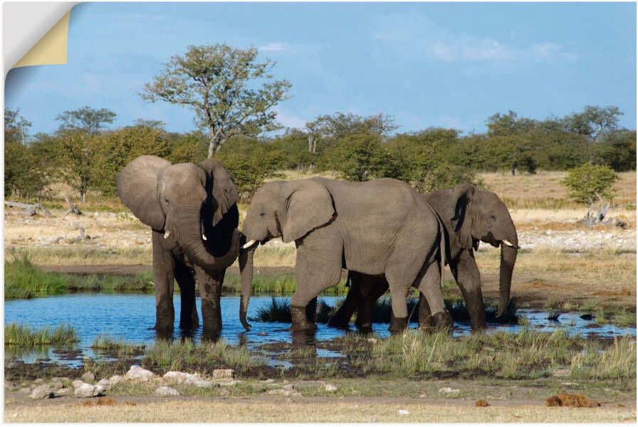 Artland Artprint Afrikaanse olifant EtoshaNationalpark als artprint op linnen muursticker in verschillende maten
