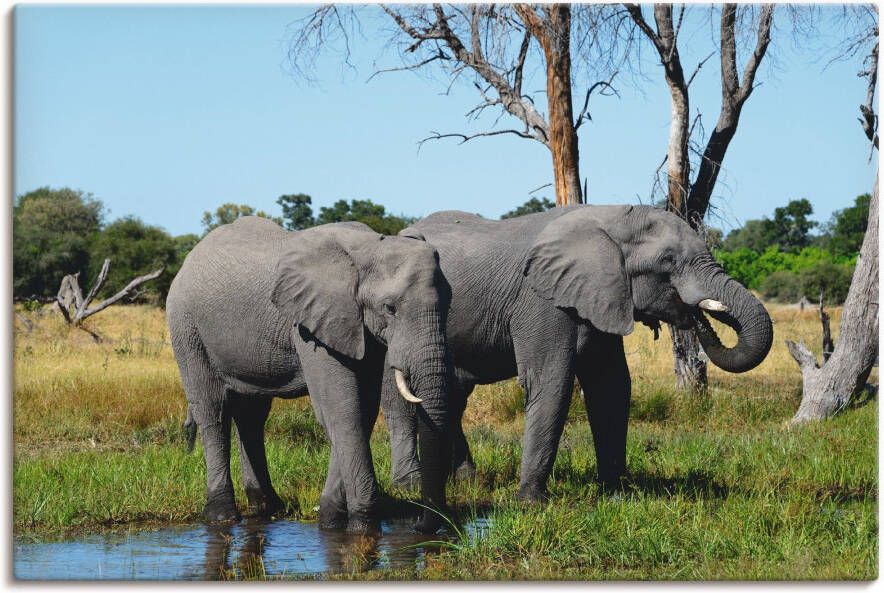 Artland Artprint Afrikaanse olifanten als artprint op linnen poster in verschillende formaten maten