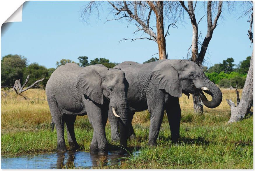 Artland Artprint Afrikaanse olifanten als artprint op linnen poster in verschillende formaten maten
