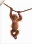 Artland Artprint Baby orang oetan hangt aan het touw II als artprint van aluminium artprint voor buiten artprint op linnen poster muursticker - Thumbnail 1