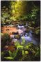 Artland Artprint Beek in het bos als artprint van aluminium artprint op linnen muursticker verschillende maten - Thumbnail 1