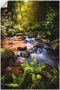 Artland Artprint Beek in het bos als artprint van aluminium artprint op linnen muursticker verschillende maten - Thumbnail 1