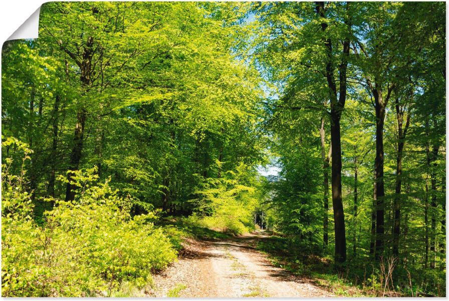 Artland Artprint Blauwe hemel boven het bos in mei als artprint op linnen poster in verschillende formaten maten