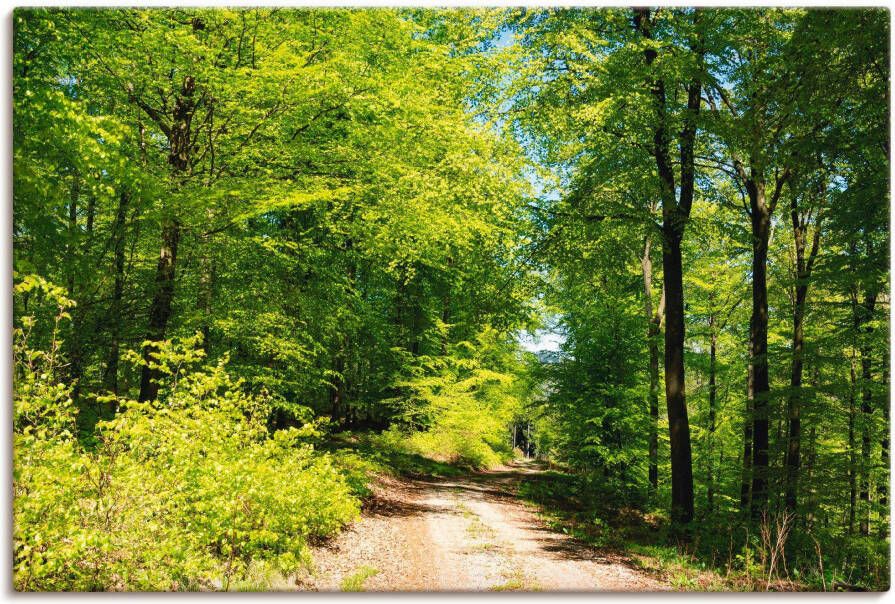 Artland Artprint Blauwe hemel boven het bos in mei als artprint op linnen poster in verschillende formaten maten