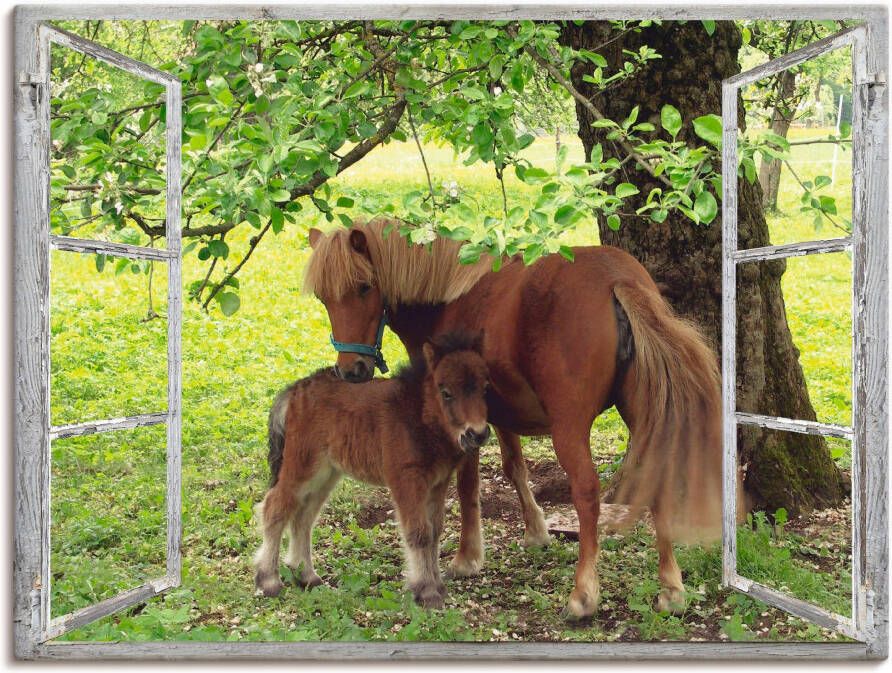 Artland Artprint Blik uit het venster pony met kind als artprint op linnen poster muursticker in verschillende maten