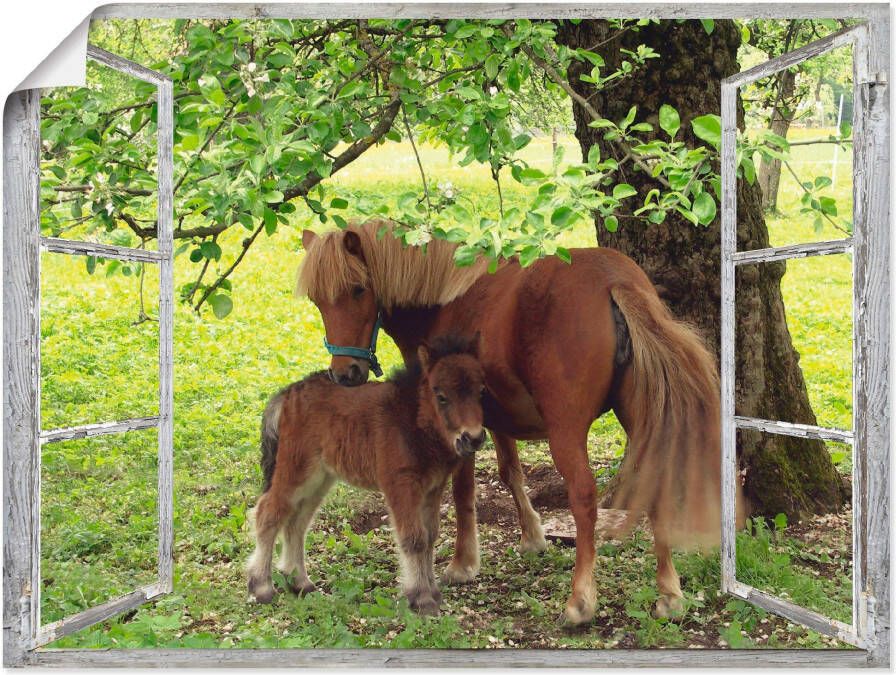 Artland Artprint Blik uit het venster pony met kind als artprint op linnen poster muursticker in verschillende maten - Foto 1