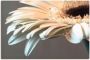 Artland Artprint Bloem van een gerbera als artprint op linnen poster muursticker in verschillende maten - Thumbnail 1