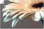 Artland Artprint Bloem van een gerbera als artprint op linnen poster muursticker in verschillende maten - Thumbnail 1