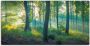 Artland Artprint Bos panorama als artprint van aluminium artprint voor buiten artprint op linnen poster muursticker - Thumbnail 1