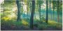 Artland Artprint Bos panorama als artprint van aluminium artprint voor buiten artprint op linnen poster muursticker - Thumbnail 1