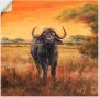 Artland Artprint Buffel als poster muursticker in verschillende maten - Thumbnail 1