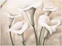 Artland Artprint Callas I als artprint op linnen poster muursticker in verschillende maten - Thumbnail 1