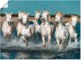 Artland Artprint Camargue paarden galopperen op het strand als artprint van aluminium artprint voor buiten artprint op linnen poster muursticker - Thumbnail 1