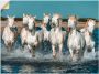 Artland Artprint Camargue paarden galopperen op het strand als artprint van aluminium artprint voor buiten artprint op linnen poster muursticker - Thumbnail 1