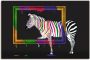 Artland Artprint De regenboog zebra als artprint op linnen poster muursticker in verschillende maten - Thumbnail 1
