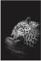 Artland Artprint De slapende jaguar als artprint van aluminium artprint voor buiten artprint op linnen poster in verschillende maten. maten - Thumbnail 1