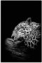 Artland Artprint De slapende jaguar als artprint van aluminium artprint voor buiten artprint op linnen poster in verschillende maten. maten - Thumbnail 1