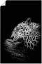 Artland Artprint De slapende jaguar als artprint van aluminium artprint voor buiten artprint op linnen poster in verschillende maten. maten - Thumbnail 1