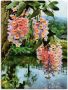 Artland Artprint Fleurige tropische boom II als artprint op linnen muursticker in verschillende maten - Thumbnail 1