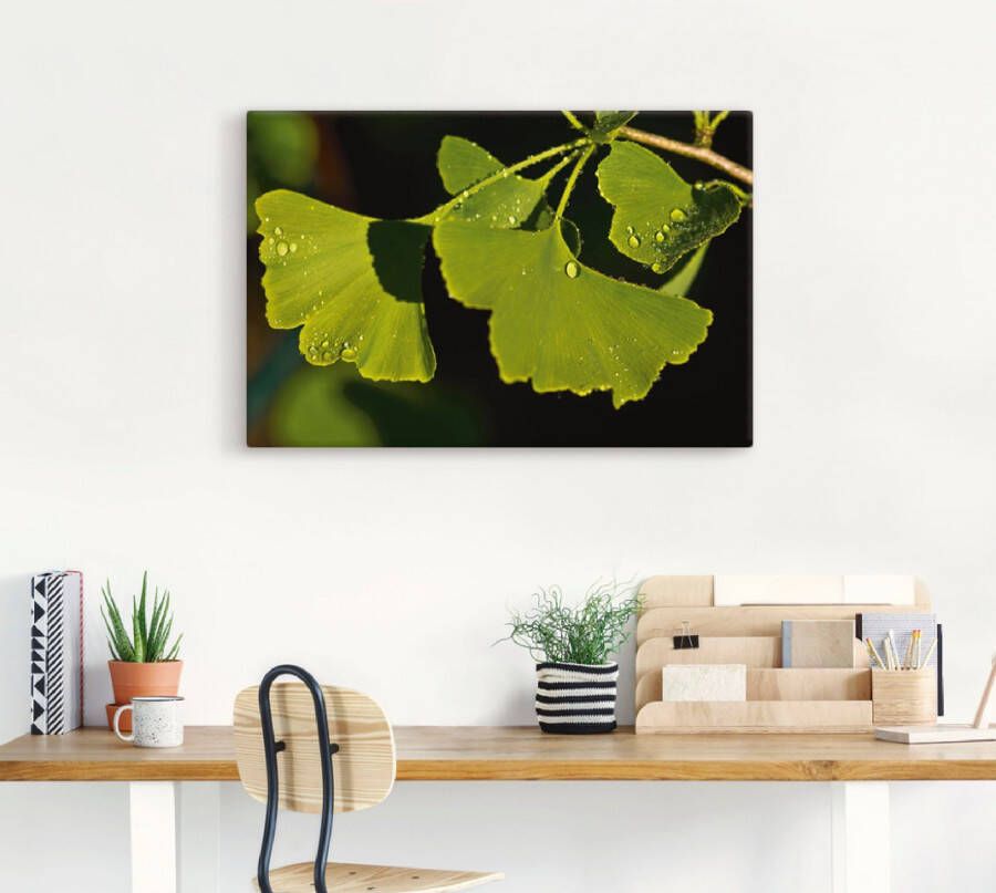 Artland Artprint Ginkgo blaadjes als artprint van aluminium artprint voor buiten poster in diverse formaten - Foto 1