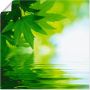 Artland Artprint Groene blaadjes reflecteren in het water als artprint op linnen poster muursticker in verschillende maten - Thumbnail 1