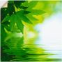 Artland Artprint Groene blaadjes reflecteren in het water als artprint op linnen poster muursticker in verschillende maten - Thumbnail 1