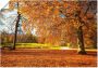 Artland Artprint Herfst bij slot Nymphenburg als artprint op linnen poster in verschillende formaten maten - Thumbnail 1