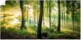 Artland Artprint Herfst in het bos II als artprint van aluminium artprint voor buiten artprint op linnen poster muursticker - Thumbnail 1