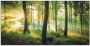 Artland Artprint Herfst in het bos II als artprint van aluminium artprint voor buiten artprint op linnen poster muursticker - Thumbnail 1